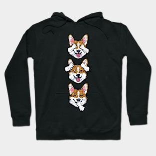 Noevil Corgi Hoodie